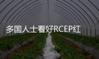 多國人士看好RCEP紅利