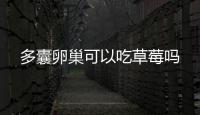 多囊卵巢可以吃草莓嗎