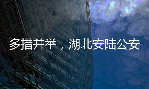 多措并舉，湖北安陸公安助力企業發展“加速度”