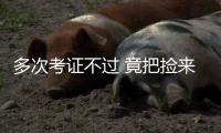 多次考證不過 竟把撿來的駕駛證移花接木 男子用換臉的駕照開車上路被查