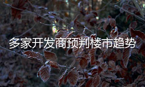 多家開發商預判樓市趨勢性回暖:謹慎樂觀,信心修復仍需時間