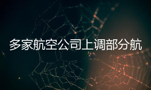 多家航空公司上調部分航線燃油附加費