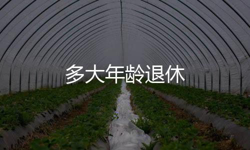多大年齡退休