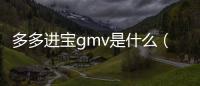 多多進寶gmv是什么（gmv是什么）