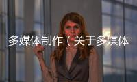 多媒體制作（關于多媒體制作的基本情況說明介紹）