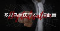多彩烏蒙慶豐收丨植此青綠滿山鄉