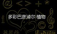 多彩巴彥淖爾·植物