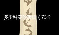 多少種笑的表情（75個笑臉表情代表什么）