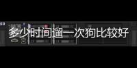 多少時間遛一次狗比較好(狗多久遛一次大小便)