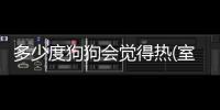 多少度狗狗會覺得熱(室內多少度狗狗會覺得冷)