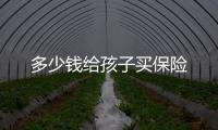 多少錢給孩子買保險