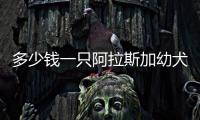 多少錢一只阿拉斯加幼犬(阿拉斯加犬多少錢一只幼崽)