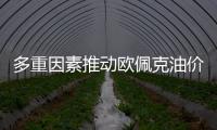 多重因素推動歐佩克油價持續抬升