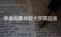 多重因素導致大宗商品漲價 防止向居民消費價格傳導