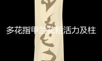 多花指甲蘭花粉活力及柱頭可授性研究（一）
