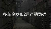 多車企發布2月產銷數據 新能源跳水承壓