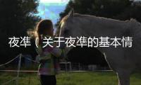 夜凖（關于夜凖的基本情況說明介紹）