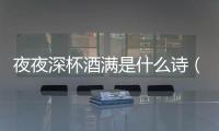 夜夜深杯酒滿是什么詩（夜夜春杯飲滿是什么意思）