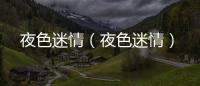 夜色迷情（夜色迷情）