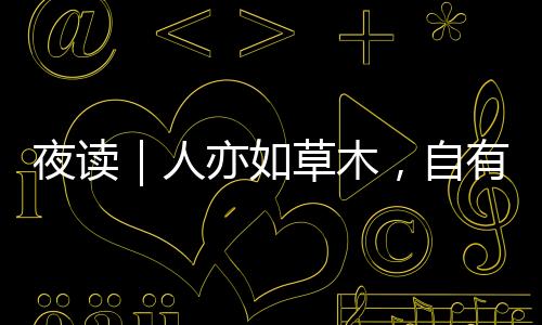 夜讀｜人亦如草木，自有生長的水土