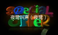 夜鷺叫聲（夜鷺）