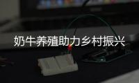 奶牛養殖助力鄉村振興