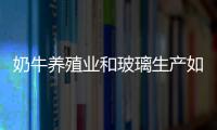 奶牛養(yǎng)殖業(yè)和玻璃生產(chǎn)如何緊密聯(lián)系,行業(yè)資訊