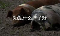 奶瓶什么牌子好