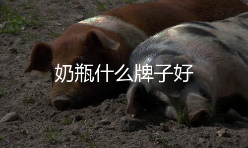 奶瓶什么牌子好