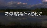 奶粉喂養選什么奶粉好
