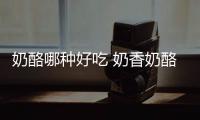 奶酪哪種好吃 奶香奶酪vs重口味奶酪