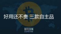好用還不貴 三款自主品牌SUV推薦