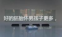 好的胚胎懷男孩子更多，驚呀！什么時候質量決定性別了