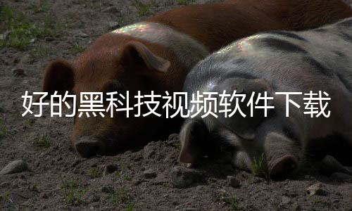好的黑科技視頻軟件下載和好的黑科技視頻軟件的情況說明