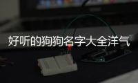 好聽的狗狗名字大全洋氣(好聽的狗狗名字大全女)
