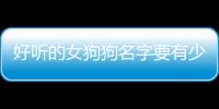 好聽的女狗狗名字要有少女風度，100個好聽到爆的女狗狗名字