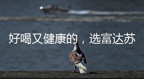 好喝又健康的，選富達蘇打水飲料！品質之選，代理無憂！