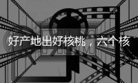 好產(chǎn)地出好核桃，六個(gè)核桃真材實(shí)料守護(hù)國(guó)民營(yíng)養(yǎng)