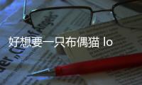 好想要一只布偶貓 lofter(一只布偶貓多少錢)