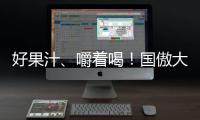 好果汁、嚼著喝！國傲大果粒果汁好品牌，口碑高，火爆招商中！