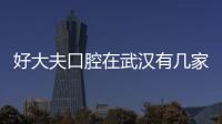 好大夫口腔在武漢有幾家店？去了漢口沒分店/武昌一支獨秀