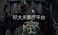 好大夫醫(yī)療平臺(tái)