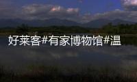 好萊客#有家博物館#溫暖面世，田亮夫婦現場高甜互動