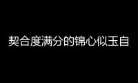契合度滿分的錦心似玉自成一股清流 從立項開始就備受期待