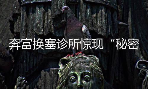 奔富換塞診所驚現“秘密年份”葛蘭許