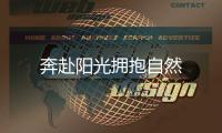 奔赴陽光擁抱自然