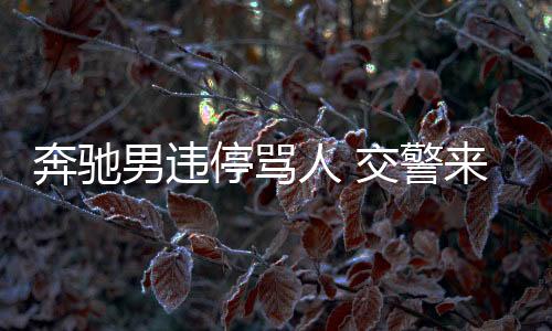 奔馳男違停罵人 交警來后瞬間老實，雙手合十低頭認錯