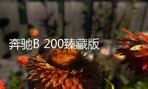 奔馳B 200臻藏版 29.20萬(wàn)/限1000臺(tái)