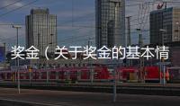 獎金（關于獎金的基本情況說明介紹）