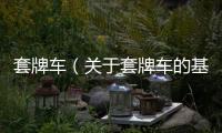 套牌車（關于套牌車的基本情況說明介紹）